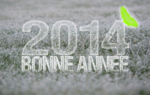 BONNE ANNÉE 2014