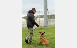 Atelier Chiens 🐕 Enfants : une journée pour se comprendre !