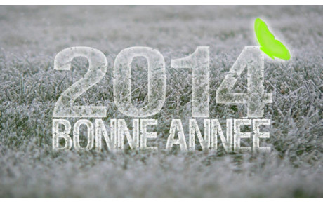 BONNE ANNÉE 2014